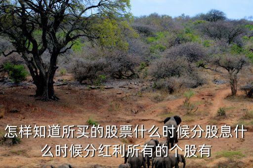 剛買(mǎi)的股票什么時(shí)候分紅利，股票什么時(shí)候分紅
