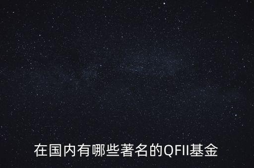 在國(guó)內(nèi)有哪些著名的QFII基金