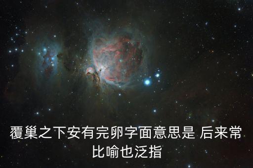 覆巢之下安有完卵字面意思是 后來常比喻也泛指