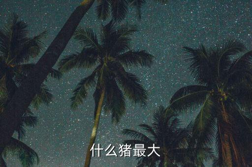 什么豬最大能長(zhǎng)40金，什么豬最大