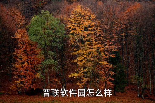 普聯(lián)軟件什么時候上市，防止網(wǎng)通封閉路由器