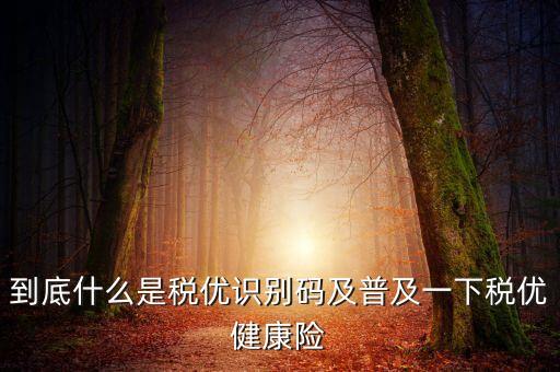 稅優(yōu)識別碼是什么樣的，稅務計算機代碼和納稅人識別號是一樣的