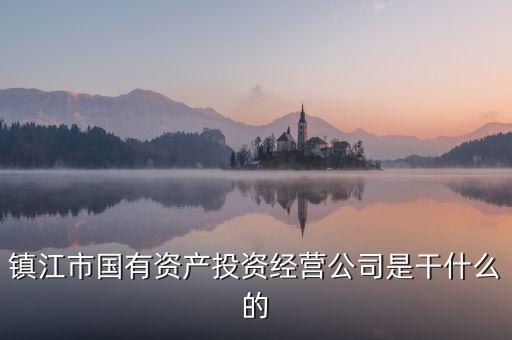 國(guó)有投資公司是做什么的，國(guó)投是做什么投資的