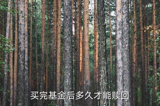 165528什么時候能贖，此債券什么時候能贖回