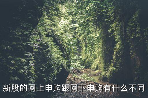 網(wǎng)下申購什么意思，新股的網(wǎng)上申購跟網(wǎng)下申購有什么不同