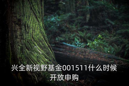 興全新視野基金什么時候開放，興全新視野混合基金多久開放一次
