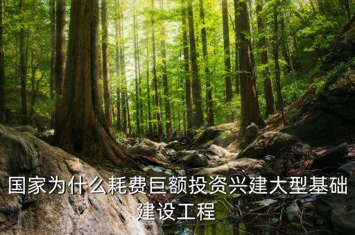 國家為什么耗費(fèi)巨額投資興建大型基礎(chǔ)建設(shè)工程