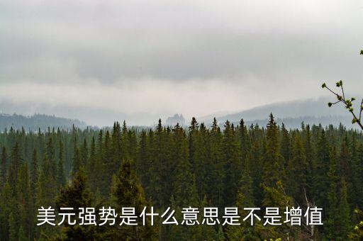 美元強(qiáng)勢是什么意思是不是增值