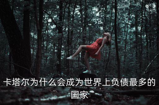 國(guó)家為什么會(huì)負(fù)債，中國(guó)地方政府為什么會(huì)有這么多債務(wù)