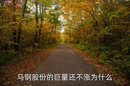馬鋼集團(tuán)為什么還不倒，馬鋼集團(tuán)為什么沒排在世界500強(qiáng)中
