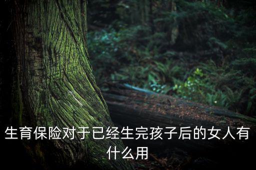 生育后繳納生育險(xiǎn)有什么用，已生育過交生育保險(xiǎn)有什么用途