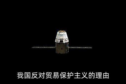 我國反對貿(mào)易保護(hù)主義的理由