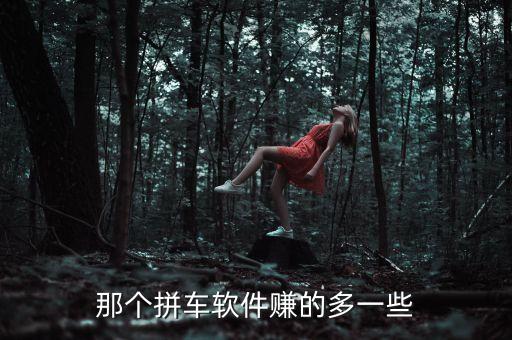 那個(gè)拼車軟件賺的多一些