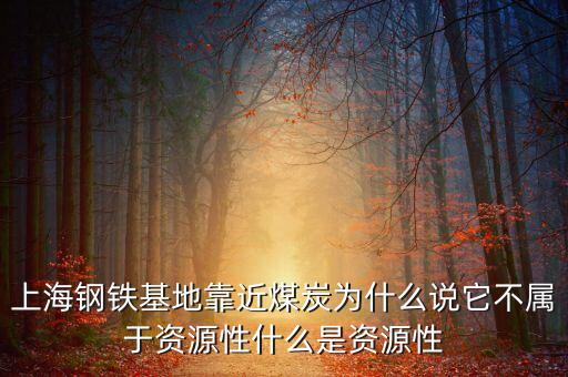 什么是資源開(kāi)發(fā)性鐵路，為什么說(shuō)青藏鐵路是西部大開(kāi)發(fā)的標(biāo)志性工程