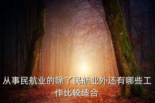 從事民航業(yè)的除了民航業(yè)外還有哪些工作比較適合