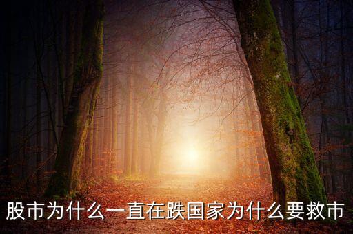中國為什么要救市，為什么又要救樓市