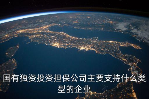 國有獨(dú)資投資擔(dān)保公司主要支持什么類型的企業(yè)