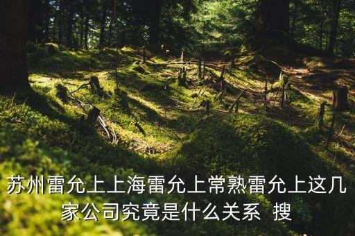 蘇州雷允上上海雷允上常熟雷允上這幾家公司究竟是什么關系  搜