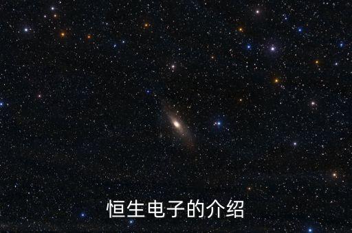 恒生電子的介紹