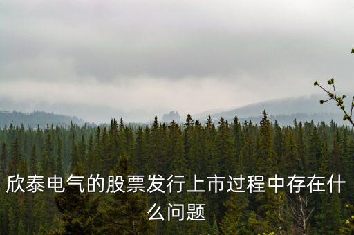 欣泰電氣的股票發(fā)行上市過(guò)程中存在什么問(wèn)題