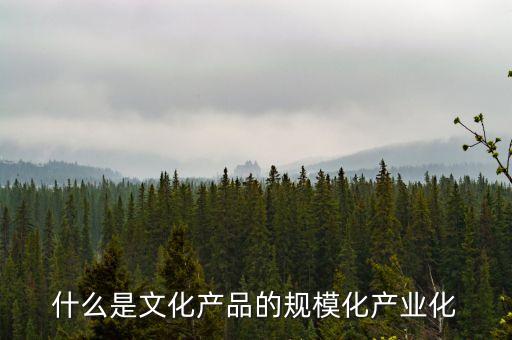 什么是規(guī)?；?jīng)營(yíng)，用戶規(guī)?；鞘裁匆馑?/></a></span><span id=