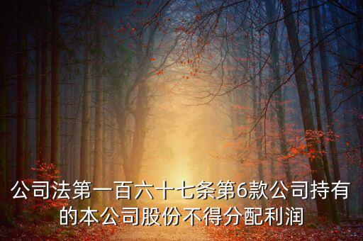 為什么公司持有的本公司股份不得分配利潤，公司法第167條第6款公司持有的本公司股份不得分配利潤