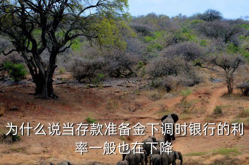 為什么說當(dāng)存款準(zhǔn)備金下調(diào)時銀行的利率一般也在下降