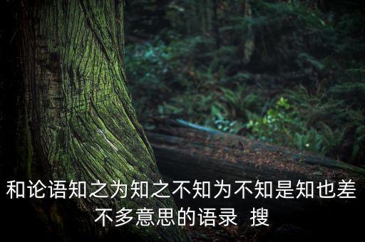 馮侖的女兒叫什么，和論語知之為知之不知為不知是知也差不多意思的語錄  搜