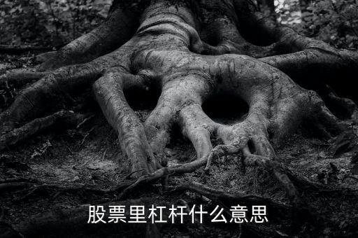 股票里杠桿什么意思