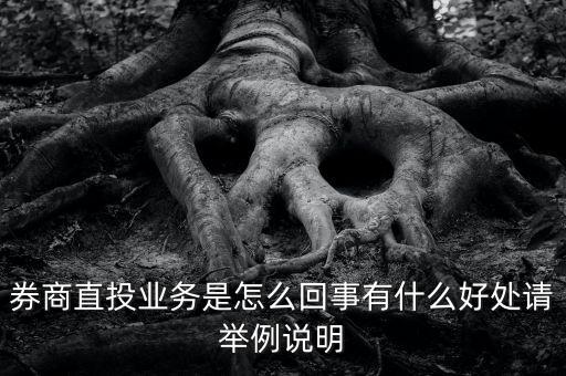 券商直投業(yè)務(wù)是怎么回事有什么好處請舉例說明