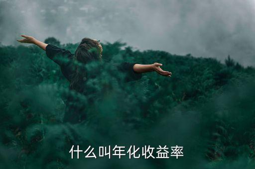 8的年收益是什么意思，投入100年化借款利率8什么意思