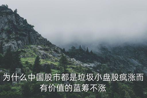 為什么中國股市都是垃圾小盤股瘋漲而有價(jià)值的藍(lán)籌不漲