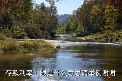 存款上限是什么意思，網(wǎng)商銀行存款有上限嗎
