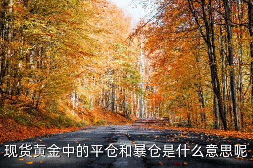 現(xiàn)貨黃金操作爆倉是什么意思，現(xiàn)貨黃金爆倉是什么意思 為什么會爆倉