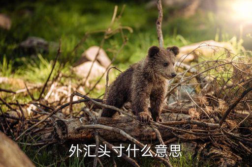 外匯頭寸什么意思