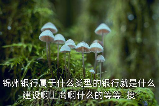 錦州銀行屬于什么類型的銀行就是什么建設(shè)啊工商啊什么的等等  搜