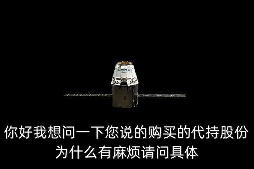你好我想問一下您說的購買的代持股份為什么有麻煩請問具體