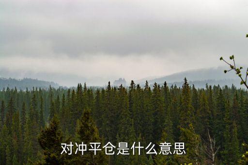 對(duì)沖平倉(cāng)是什么意思