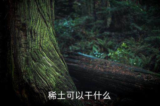 稀土國(guó)儲(chǔ)什么用，稀土國(guó)儲(chǔ)