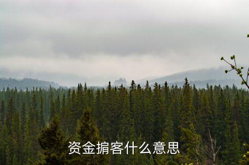資金掮客什么意思