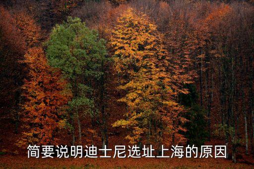 迪斯尼為什么建在上海，中國的迪尼斯為什么建在香港而不是上海