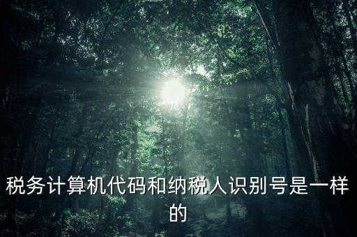 稅務(wù)計(jì)算機(jī)代碼和納稅人識(shí)別號(hào)是一樣的