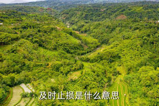適時(shí)止損是什么意思，勿糾結(jié)于沉沒成本 即時(shí)止損什么意思