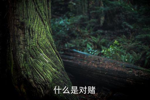 什么是對賭協(xié)議通俗，什么是對賭協(xié)議