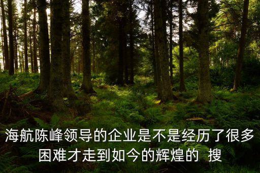 海航集團(tuán)陳峰有什么背景，海航集團(tuán)陳峰怎樣回憶艱難創(chuàng)業(yè)史的呢