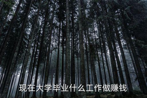 現在大學畢業(yè)什么工作做賺錢