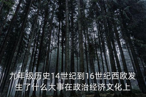 九年級歷史14世紀(jì)到16世紀(jì)西歐發(fā)生了什么大事在政治經(jīng)濟(jì)文化上
