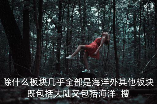 除什么板塊幾乎全部是海洋外其他板塊既包括大陸又包括海洋  搜