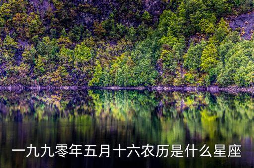 199年五月十六是什么星座，一九九年五月十六出生的是啥星座