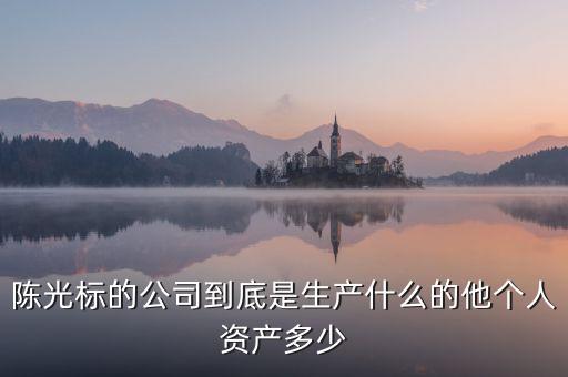 陳光標的公司到底是生產什么的他個人資產多少